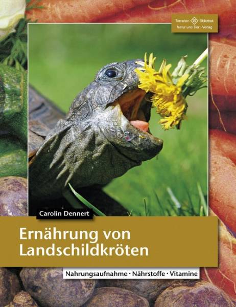 Ernährung von Landschildkröten